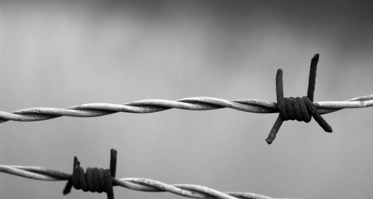 После смертельного удара поленом у кафе под Вязьмой задержали 22-летнего мужчину