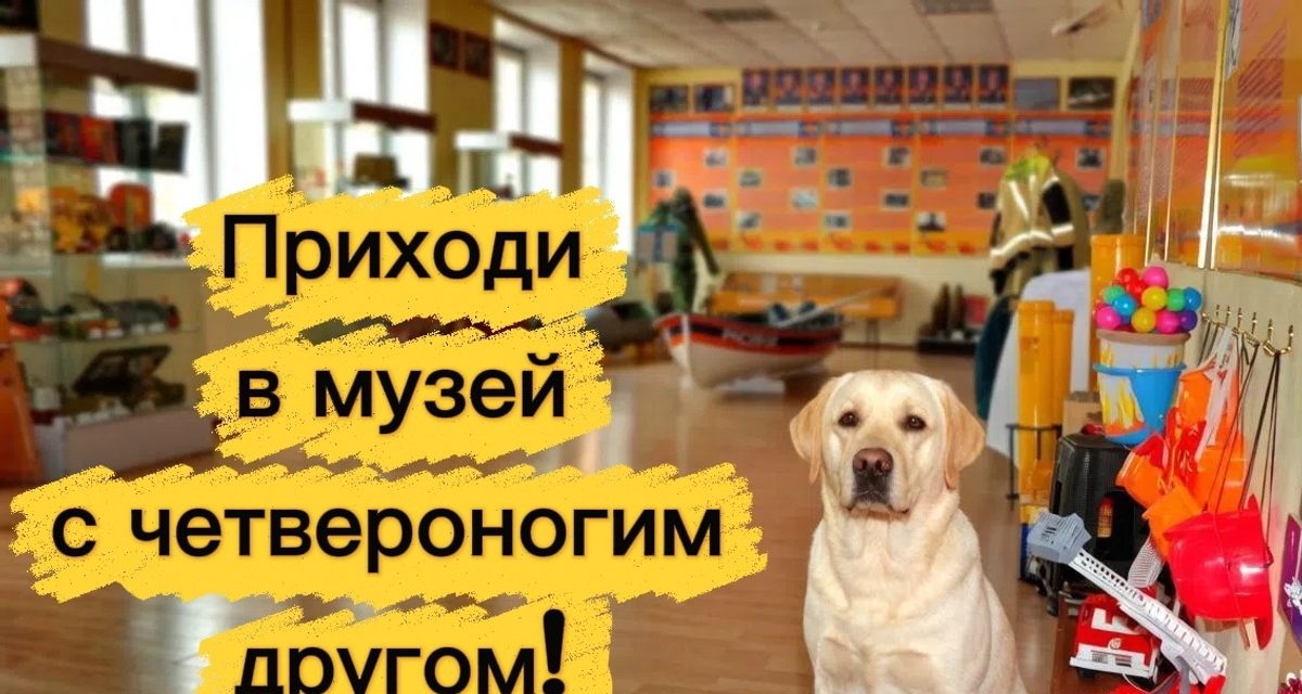 В Смоленский музей МЧС зовут всей семьёй — вместе с собаками, кошками и хомяками